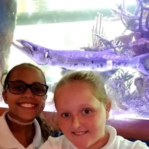 Meet your Posher, Brookie cookie